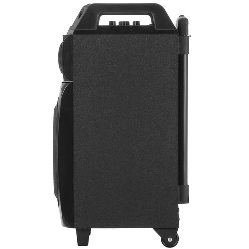 Купить Портативная аудиосистема Dialog Oscar AO-210, черный  5356312. Характеристики, отзывы и цены в Донецке