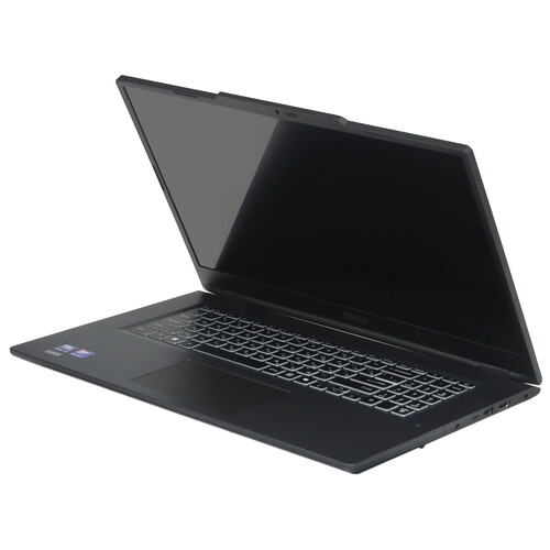 Купить 17.3" Ноутбук MSI Venture 17 AI A2HMG-009XRU серый  5635248. Характеристики, отзывы и цены в Донецке