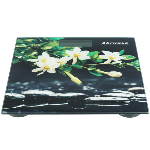 Купить Весы Аксинья КС-6006 разноцветный  8160528. Характеристики, отзывы и цены в Донецке