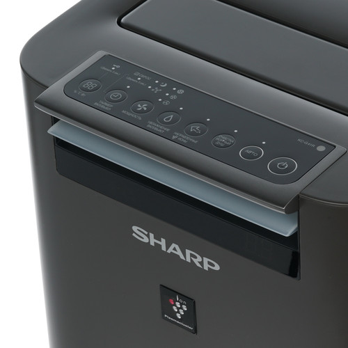Купить Климатический комплекс Sharp KCG41RH черный  1168469. Характеристики, отзывы и цены в Донецке