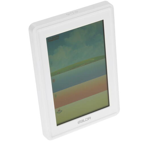 Купить Метеостанция BALDR B0360WST4H4PR  5080201. Характеристики, отзывы и цены в Донецке