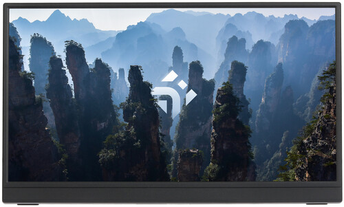 Купить 15.6" Монитор DEXP DF16N1 черный  9152397. Характеристики, отзывы и цены в Донецке