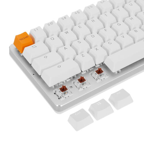 Купить Клавиатура  проводная Glorious GMMK Compact  5082487. Характеристики, отзывы и цены в Донецке