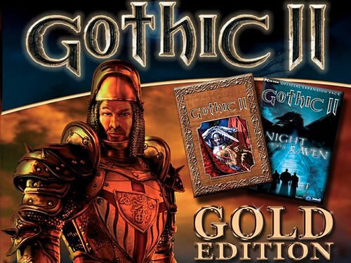 Купить Игра Gothic II: Gold Edition (Steam)  5484495. Характеристики, отзывы и цены в Донецке