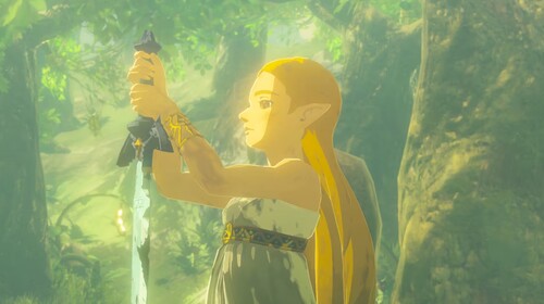 Купить Игра The Legend of Zelda: Breath of the Wild (Switch)  5630223. Характеристики, отзывы и цены в Донецке