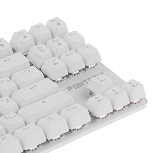 Купить Клавиатура проводная PANTEON T16 PRO RS HS  9251493. Характеристики, отзывы и цены в Донецке