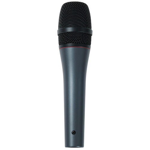 Купить Микрофон Sennheiser E 865 серый  9304179. Характеристики, отзывы и цены в Донецке