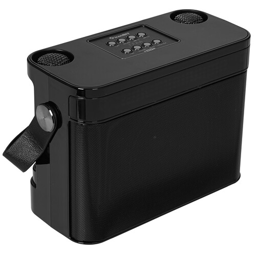 Купить Портативная аудиосистема iconBIT K902B, черный  5609347. Характеристики, отзывы и цены в Донецке