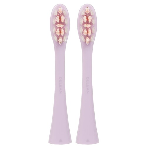 Купить Набор сменных насадок Oclean P1С13  9176527. Характеристики, отзывы и цены в Донецке