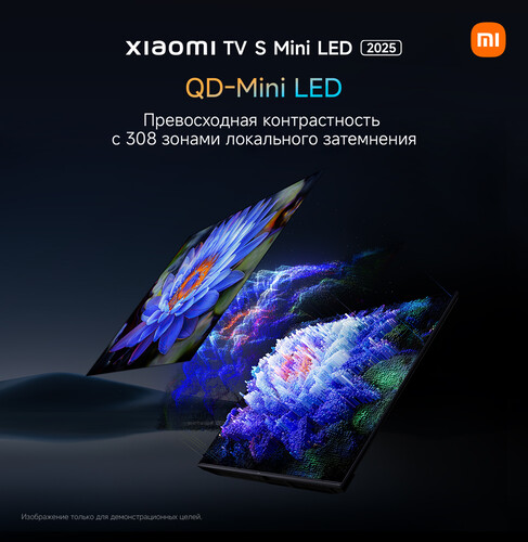 Купить 55" (139.7 см) Телевизор Xiaomi TV S Mini 55 2025 черный  5611484. Характеристики, отзывы и цены в Донецке