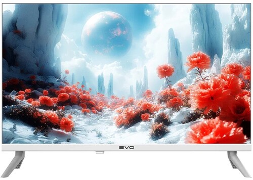 Купить 24" (61 см) Телевизор EVO TV 24 белый  5607230. Характеристики, отзывы и цены в Донецке