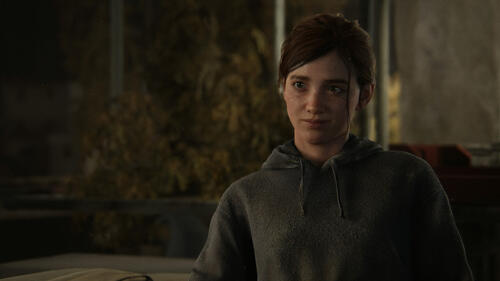 Купить Игра The Last of Us: Part II (PS4)  1399285. Характеристики, отзывы и цены в Донецке