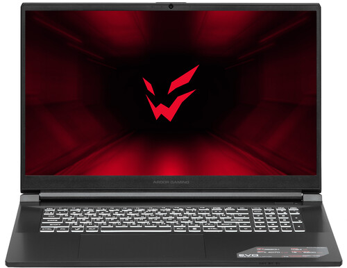 Купить 17.3" Ноутбук ARDOR Gaming EVO E17-I7ND401 черный  9083820. Характеристики, отзывы и цены в Донецке
