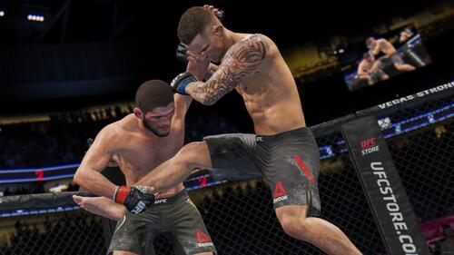 Купить Игра EA Sports UFC 4 (PS4)  1685860. Характеристики, отзывы и цены в Донецке