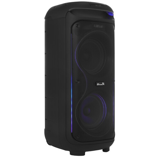 Купить Портативная колонка Eltronic 30-29 DANCE BOX 1000, черный  9241908. Характеристики, отзывы и цены в Донецке