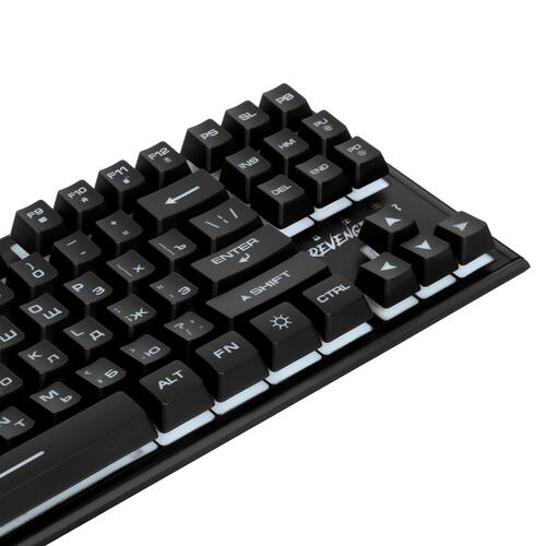 Купить Клавиатура  проводная Aceline GS Revenge RGB  5424874. Характеристики, отзывы и цены в Донецке