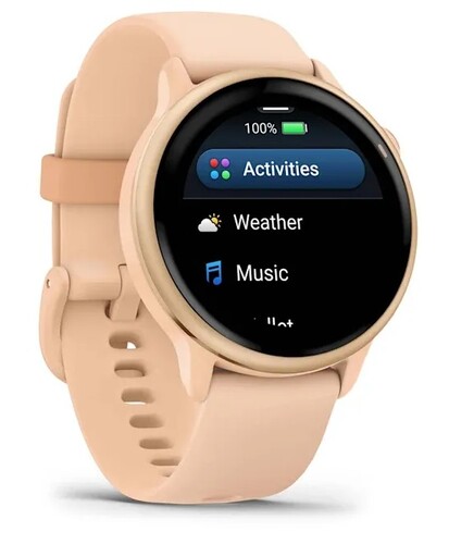 Купить Спортивные часы Garmin Vivoactive 6  5641613. Характеристики, отзывы и цены в Донецке