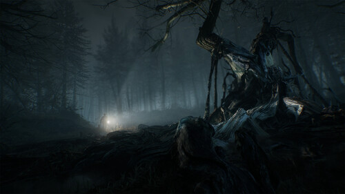 Купить Игра Blair Witch (Steam)  5618266. Характеристики, отзывы и цены в Донецке