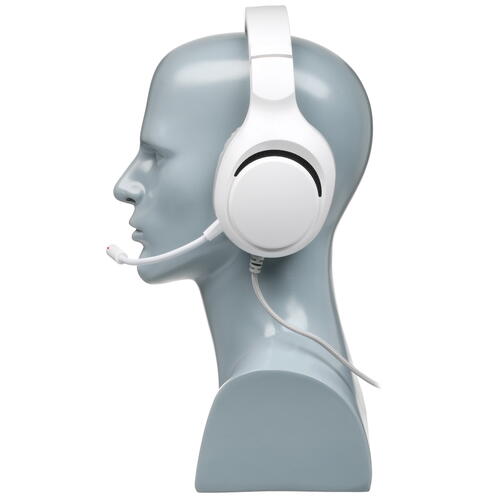 Купить Проводные наушники DEXP Anger белый 2021  4892234. Характеристики, отзывы и цены в Донецке