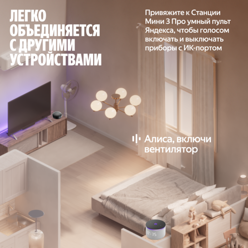 Купить Умная колонка Яндекс Станция Мини 3 Про серый  5632413. Характеристики, отзывы и цены в Донецке