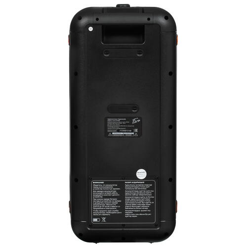 Купить Портативная аудиосистема Fiero Emotion 200 FR1000, черный  5401625. Характеристики, отзывы и цены в Донецке