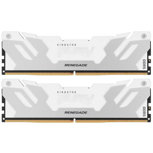 Купить Оперативная память Kingston Fury Renegade White [KF560C32RWK2-64] 64 ГБ  5406026. Характеристики, отзывы и цены в Донецке