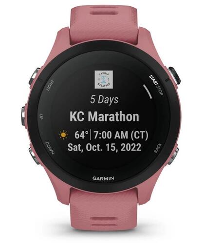 Купить Спортивные часы Garmin Forerunner 255S  5407838. Характеристики, отзывы и цены в Донецке