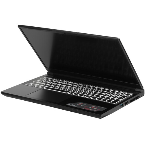 Купить 15.6" Ноутбук ARDOR Gaming EVO E15-I7ND400 черный  9083315. Характеристики, отзывы и цены в Донецке