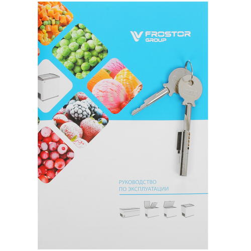Купить Морозильный ларь Frostor Gellar FG 250 E белый, красный  1109655. Характеристики, отзывы и цены в Донецке