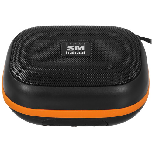 Купить Портативная колонка Soundmax SM-PS5009B, черный  9094731. Характеристики, отзывы и цены в Донецке