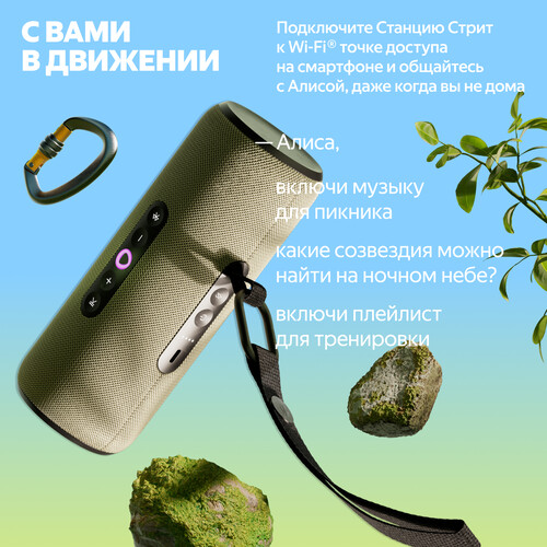 Купить Умная портативная колонка Яндекс Станция Стрит, зеленый  5626376. Характеристики, отзывы и цены в Донецке