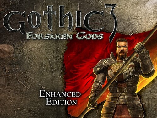 Купить Игра Gothic 3: Forsaken Gods Enhanced Edition (Steam)  5484494. Характеристики, отзывы и цены в Донецке