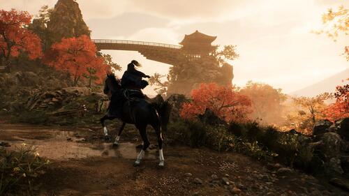 Купить Игра Rise of the Ronin (PS5)  5451606. Характеристики, отзывы и цены в Донецке