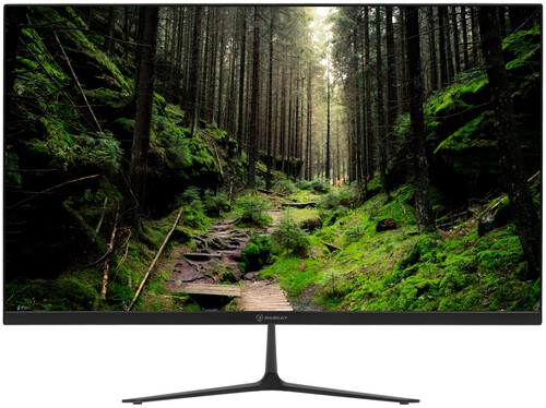 Купить 27" Монитор Raskat I27Q7D черный  5456900. Характеристики, отзывы и цены в Донецке