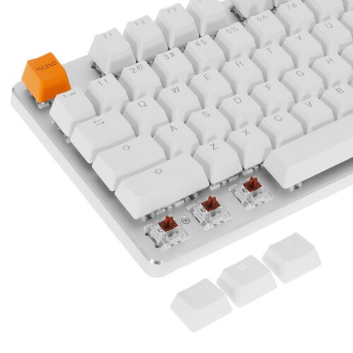 Купить Клавиатура  проводная Glorious GMMK TKL  5082486. Характеристики, отзывы и цены в Донецке