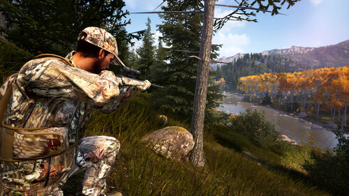 Купить Дополнение для игры Hunting Simulator 2: Bear Hunter Pack (Steam)  5622355. Характеристики, отзывы и цены в Донецке