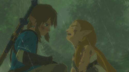 Купить Игра The Legend of Zelda: Breath of the Wild (Switch)  1345792. Характеристики, отзывы и цены в Донецке
