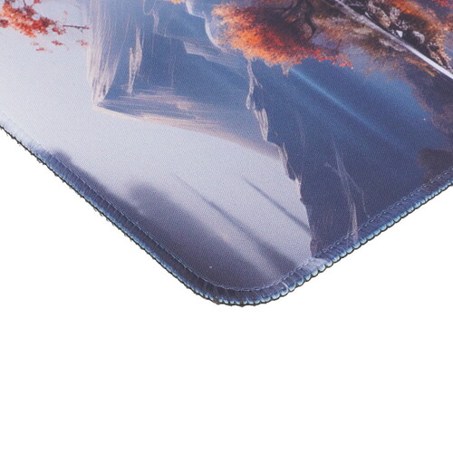 Купить Коврик Cactus Lake  разноцветный  9150254. Характеристики, отзывы и цены в Донецке