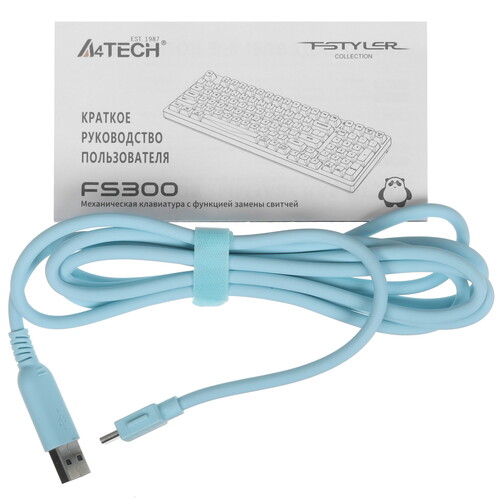 Купить Клавиатура  проводная A4Tech Fstyler FS300  5600918. Характеристики, отзывы и цены в Донецке