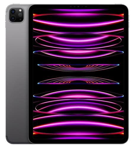 Купить 11" Планшет Apple iPad Pro (4th Gen) 5G 2048 ГБ серый  5409931. Характеристики, отзывы и цены в Донецке