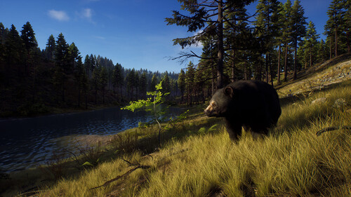 Купить Игра Way of the Hunter Elite Edition (Steam)  5484584. Характеристики, отзывы и цены в Донецке