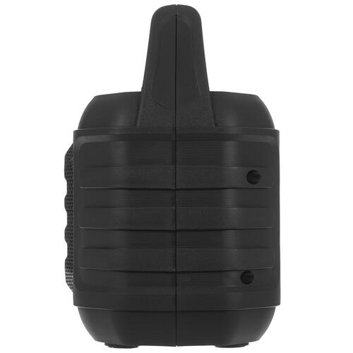Купить Портативная колонка Ritmix SP-610B, черный  5076801. Характеристики, отзывы и цены в Донецке
