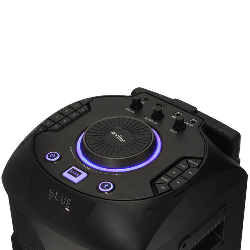 Купить Портативная аудиосистема Aceline LP-V100, черный  5082502. Характеристики, отзывы и цены в Донецке