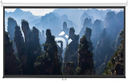 Купить 120" Экран для проектора DEXP WMD-120  9035750. Характеристики, отзывы и цены в Донецке