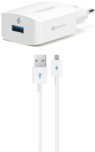 Купить Сетевое зарядное устройство TTEC SpeedCharger белый  9140746. Характеристики, отзывы и цены в Донецке