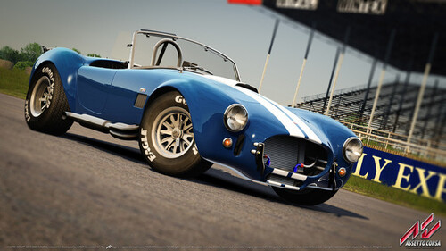 Купить Игра Assetto Corsa (Steam)  5624977. Характеристики, отзывы и цены в Донецке