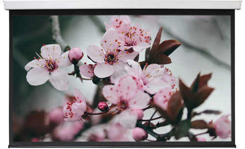 Купить 108" Экран для проектора Digis Electra-F DSEF-16904  1626416. Характеристики, отзывы и цены в Донецке