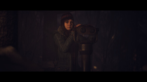 Купить Игра Until Dawn (Версия для РФ) (Steam)  5497709. Характеристики, отзывы и цены в Донецке