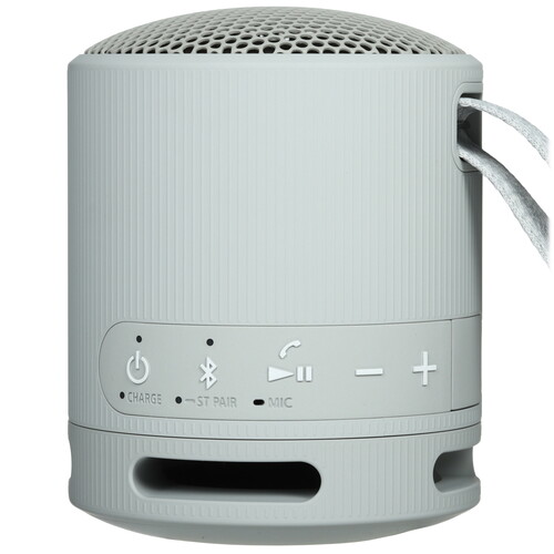 Купить Портативная колонка Sony SRS-XB100, серый  5605590. Характеристики, отзывы и цены в Донецке