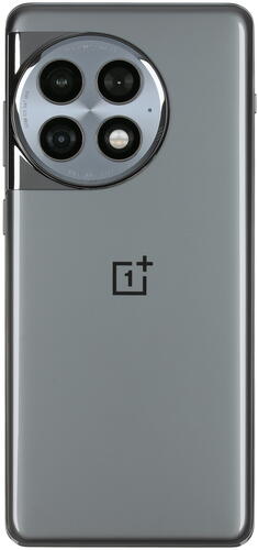 Купить 6.74" Смартфон OnePlus Ace 2 Pro 256 ГБ серый  5430155. Характеристики, отзывы и цены в Донецке
